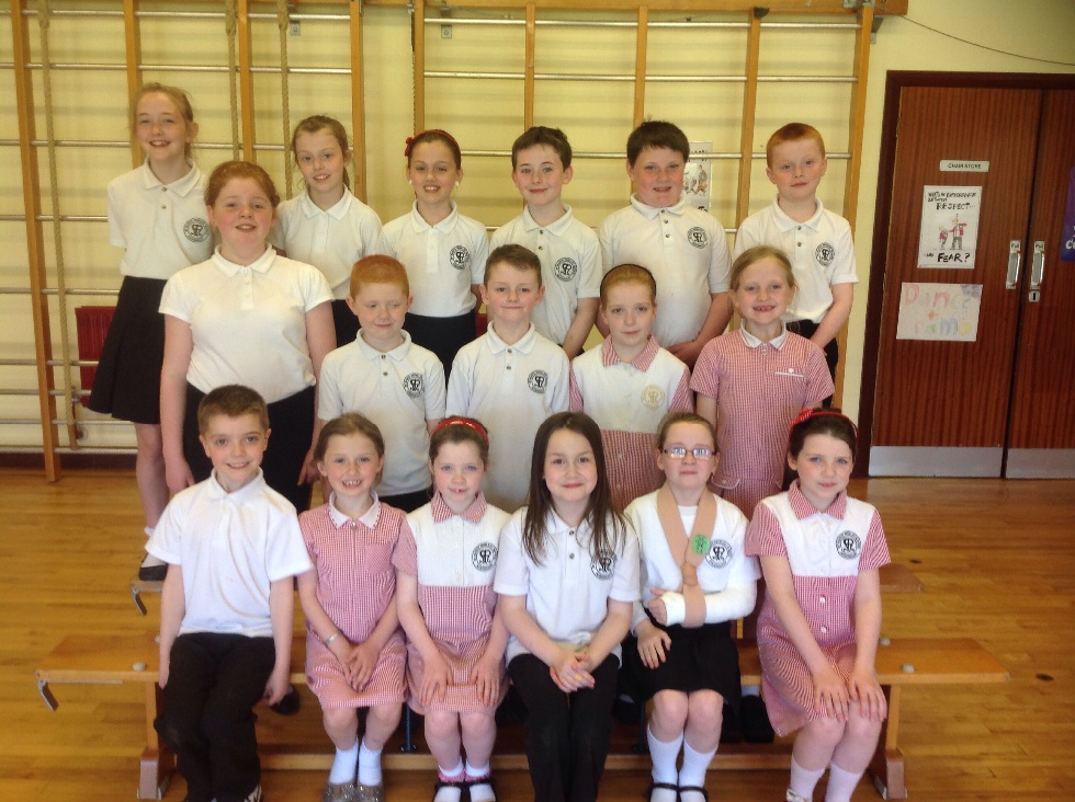 School Council Election